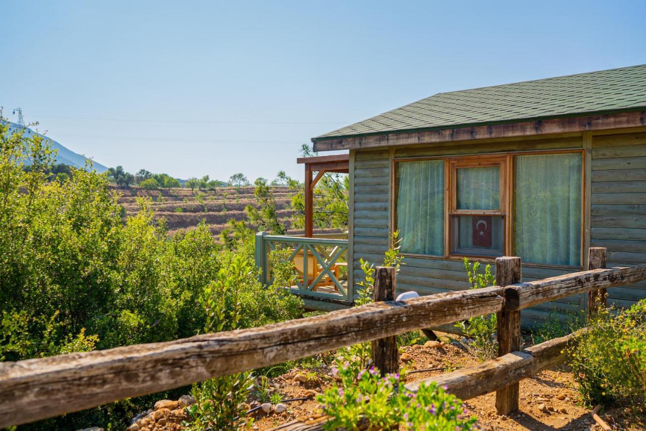 Kairos Valley Health & Nature Resort Датча Екстер'єр фото